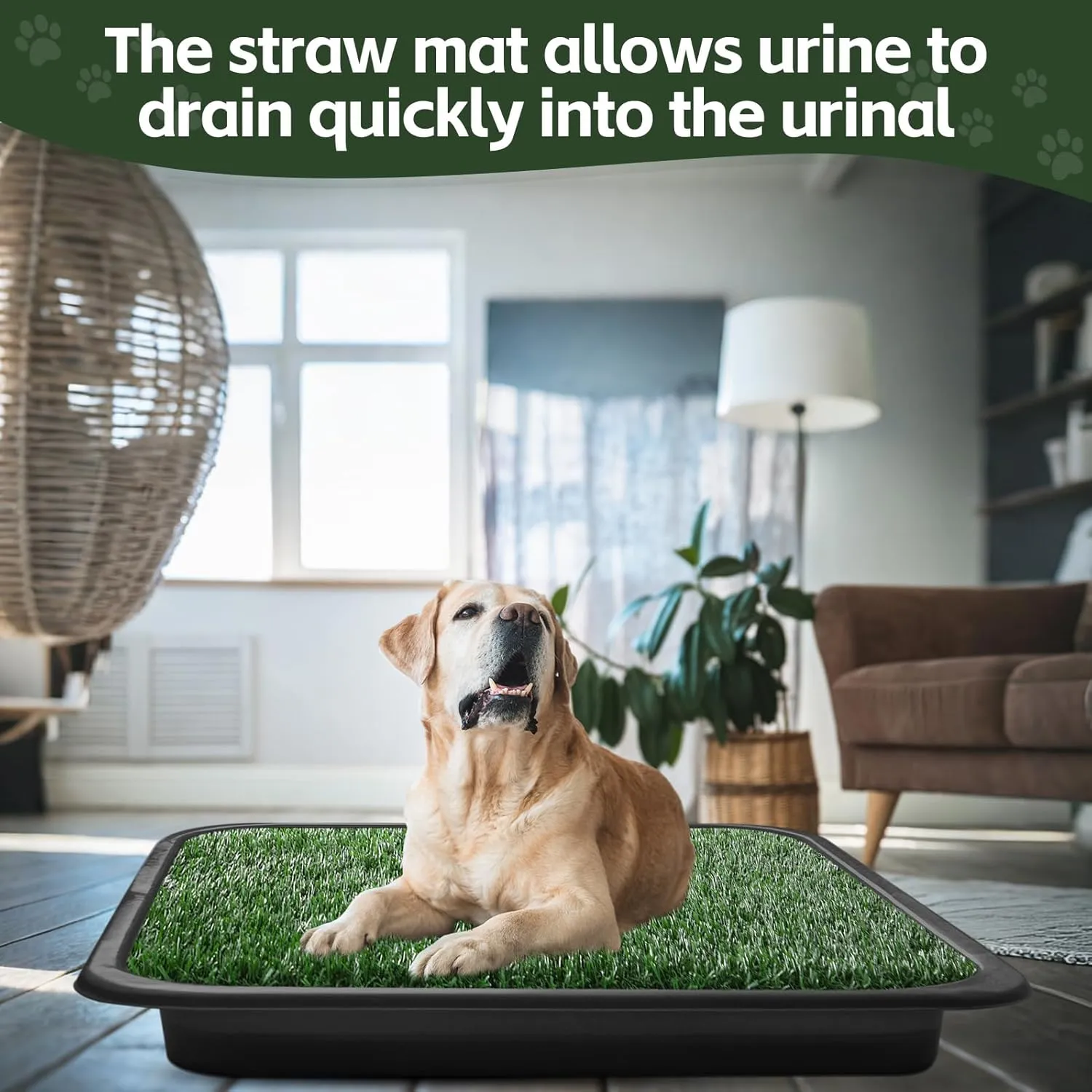 2pack Artificial Grass for Dog Potty,Dog Grass Pee Pad with Drainage Holes, Replacement Turf Mats for Potty Training Washable Realistic for Outdoor Indoor Pet Supply (31.5"x31.5")