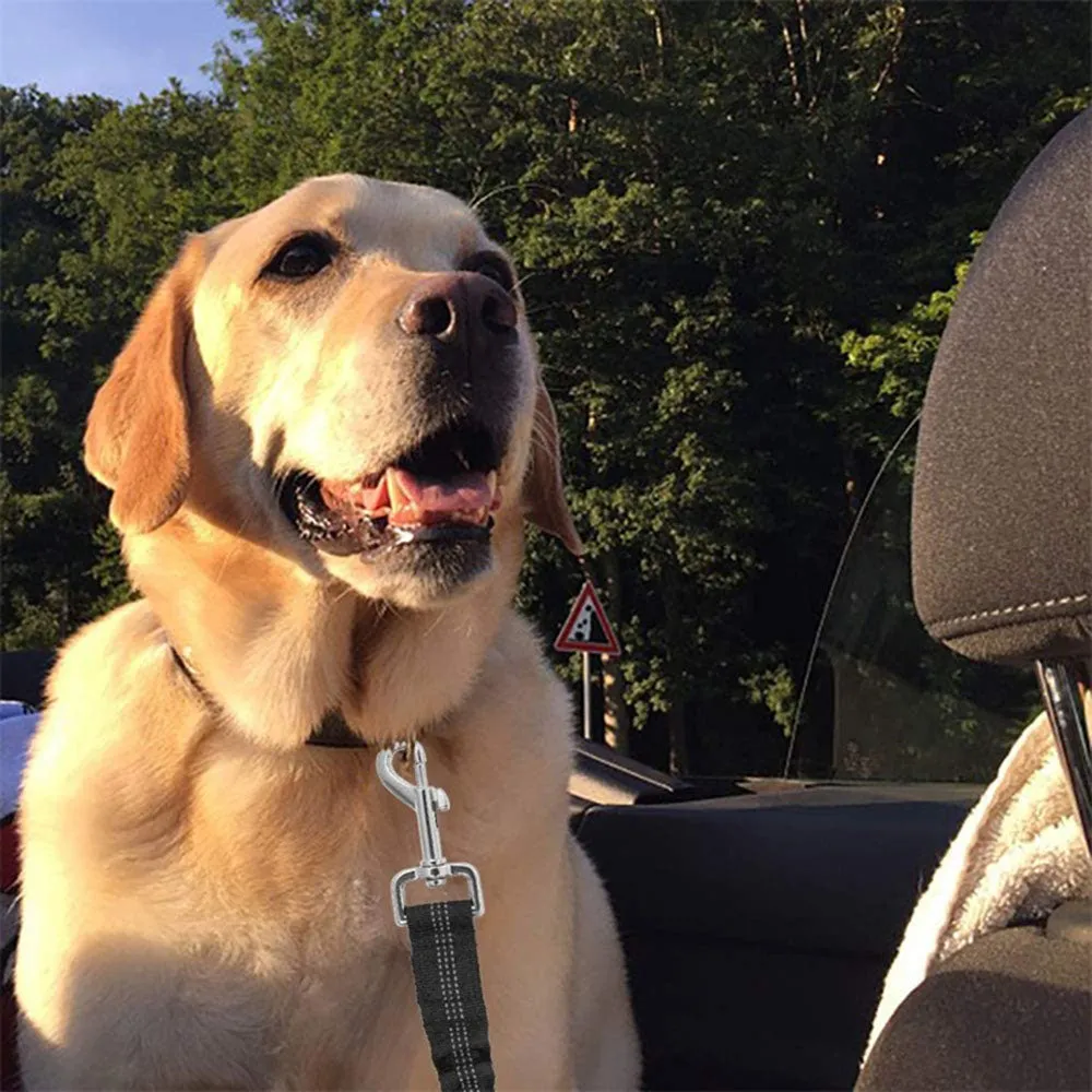 Adjustable Seatbelt Harness For Dogs