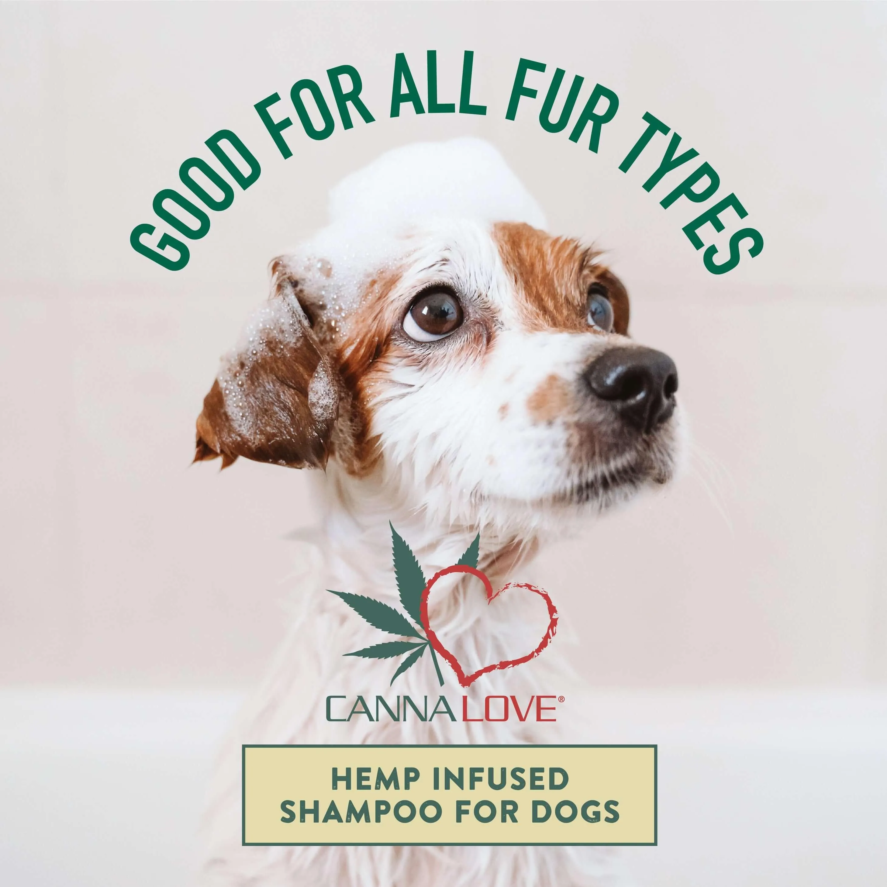 Anti-Shedding & Detangling Shampoo