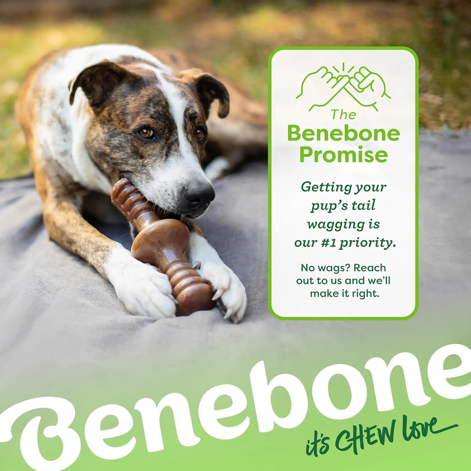Benebone Zaggler Rolling Dog Chew Toy for Aggressive Chewers, Real Bacon, Made in USA, Medium