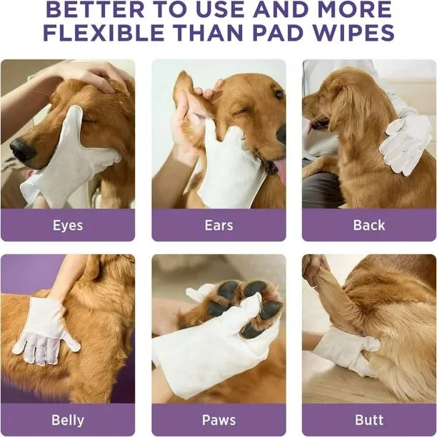 🔥Best-selling in 2025🔥sale-50% off 👉Deodorizing Pet Glove Wipes For Dogs (6 Pcs / 1 Pack)