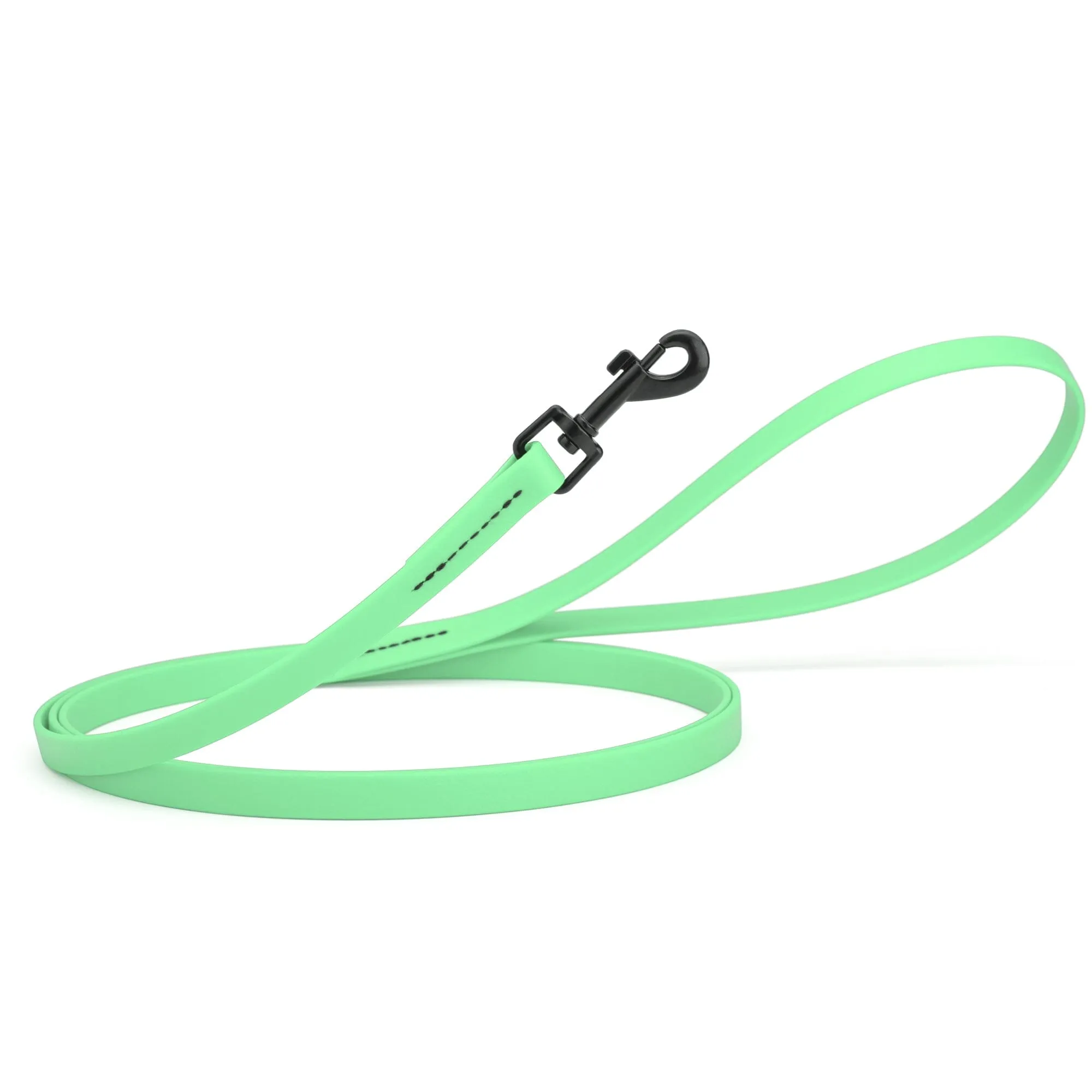 Biothane Waterproof Leash 4 ft