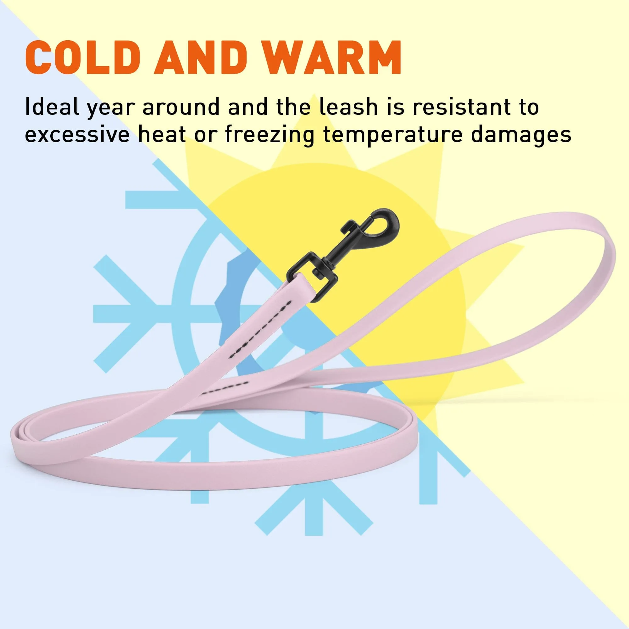 Biothane Waterproof Leash 4 ft