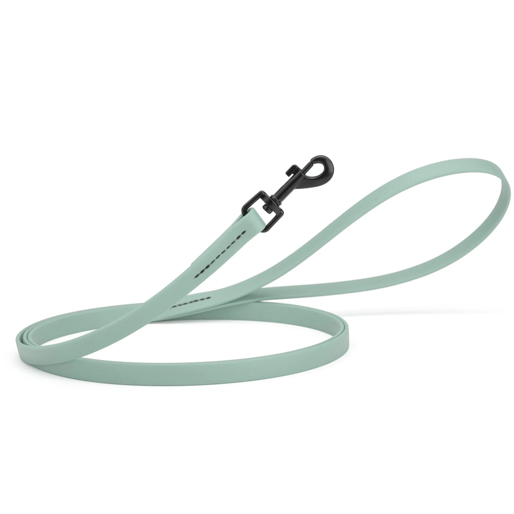 Biothane Waterproof Leash 4 ft