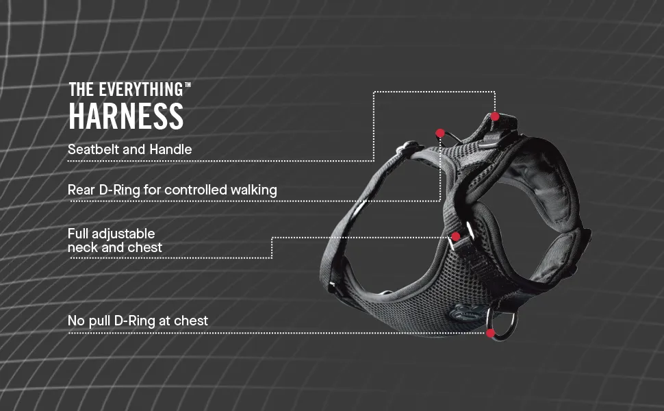 Canada Pooch - Everything Harness - Splatter