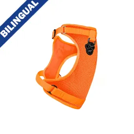 Canada Pooch - The Everything Harness - Mesh Series - Orange