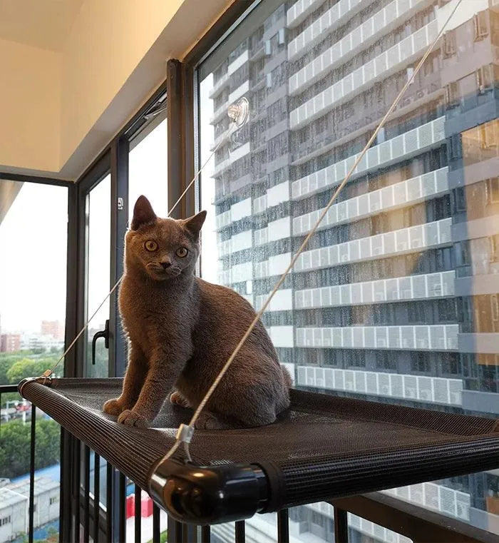 Cat Window Hammock