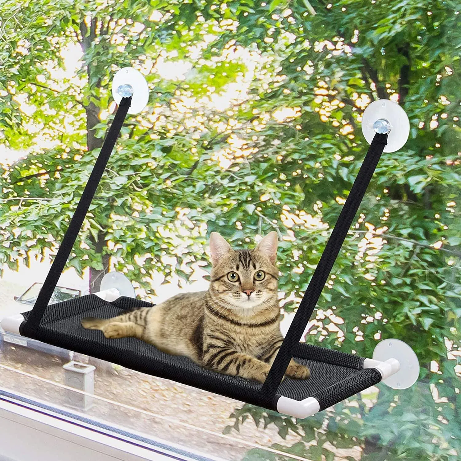 Cat Window Perch, Cat Hammock with 4 Durable Heavy Duty Suction Cups (Black)