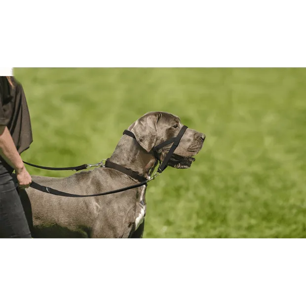 COMPANY OF ANIMALS - Halti Multi Function Training Dog Lead Black