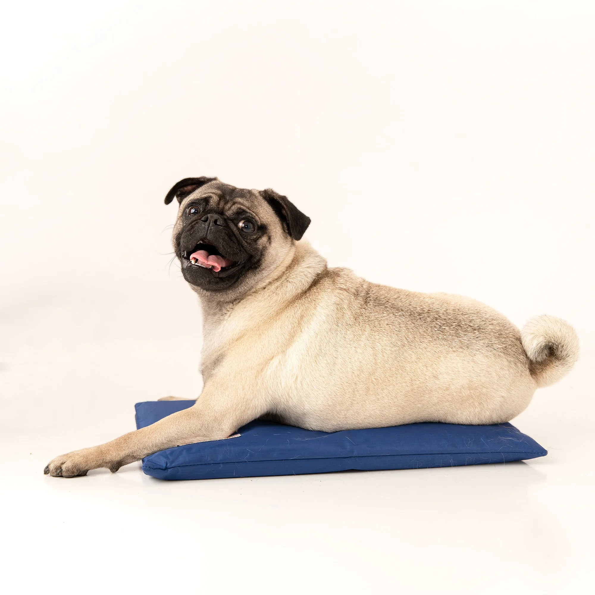 CoolerDog MINI Hydro Cooling Mat