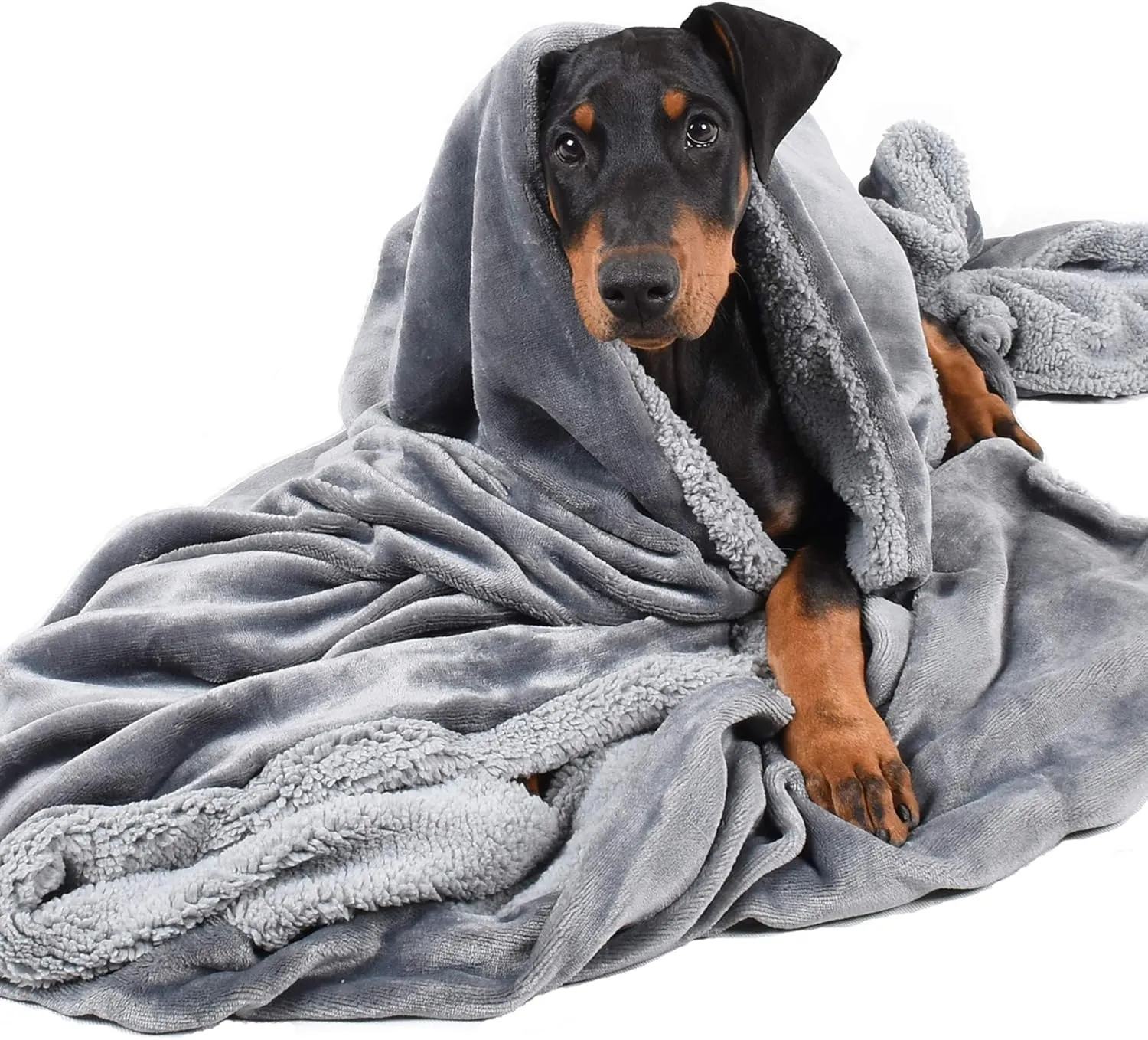 Dog Blankets for Large Dogs, Super Soft Warm Sherpa Fleece Plush Doggie Blankets and Throws for Small Medium Puppy Doggy Pet Cats50x60 inches