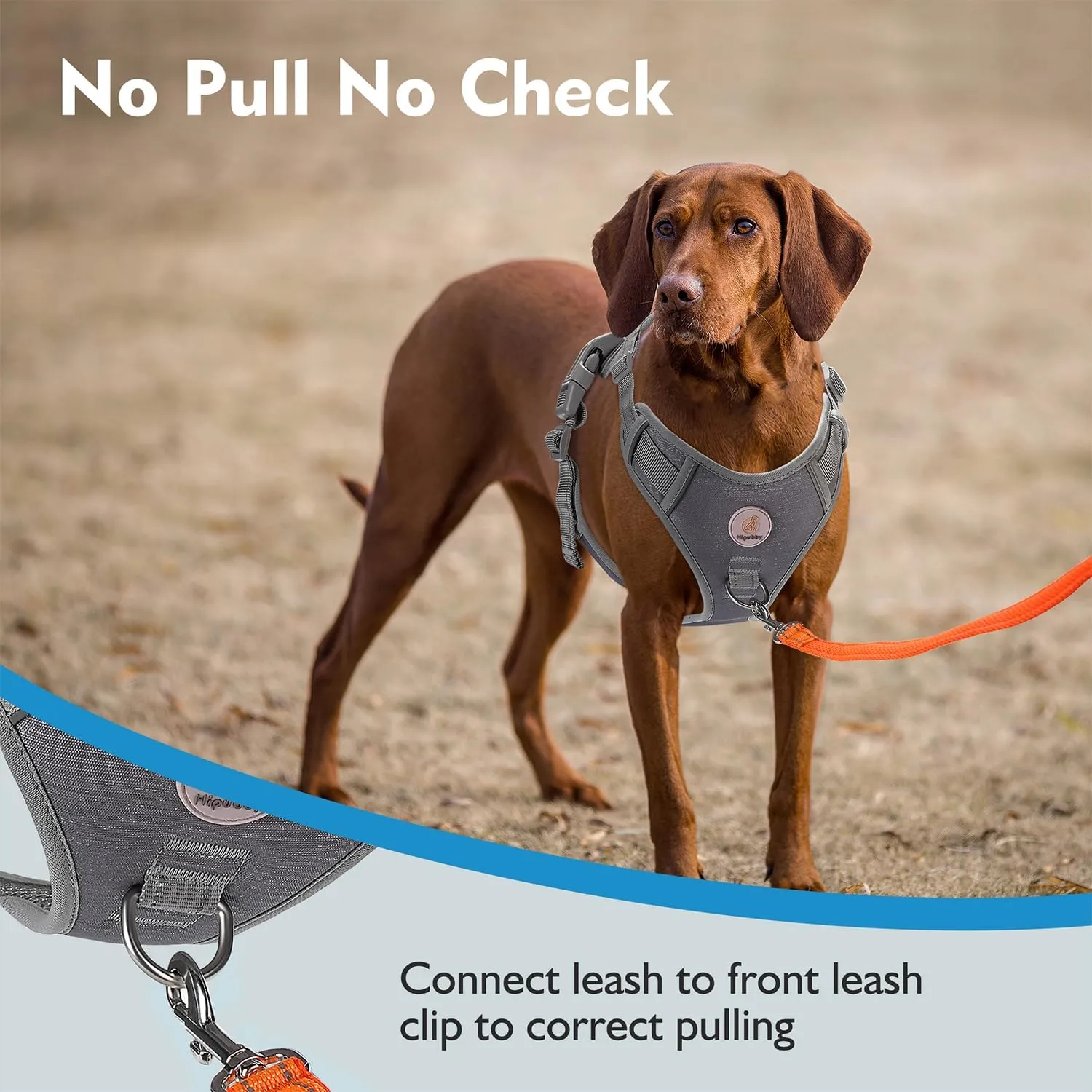 Dog Harness for Large Dogs, No Pull Pet Harness with 2 Metal Rings and Control Handle, Adjustable Soft Dog Vest with Reflective Strips, Easy Walking and Training for Large Dogs, Grey, L