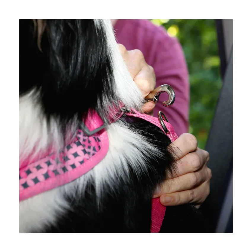 DOOG Car Restraint