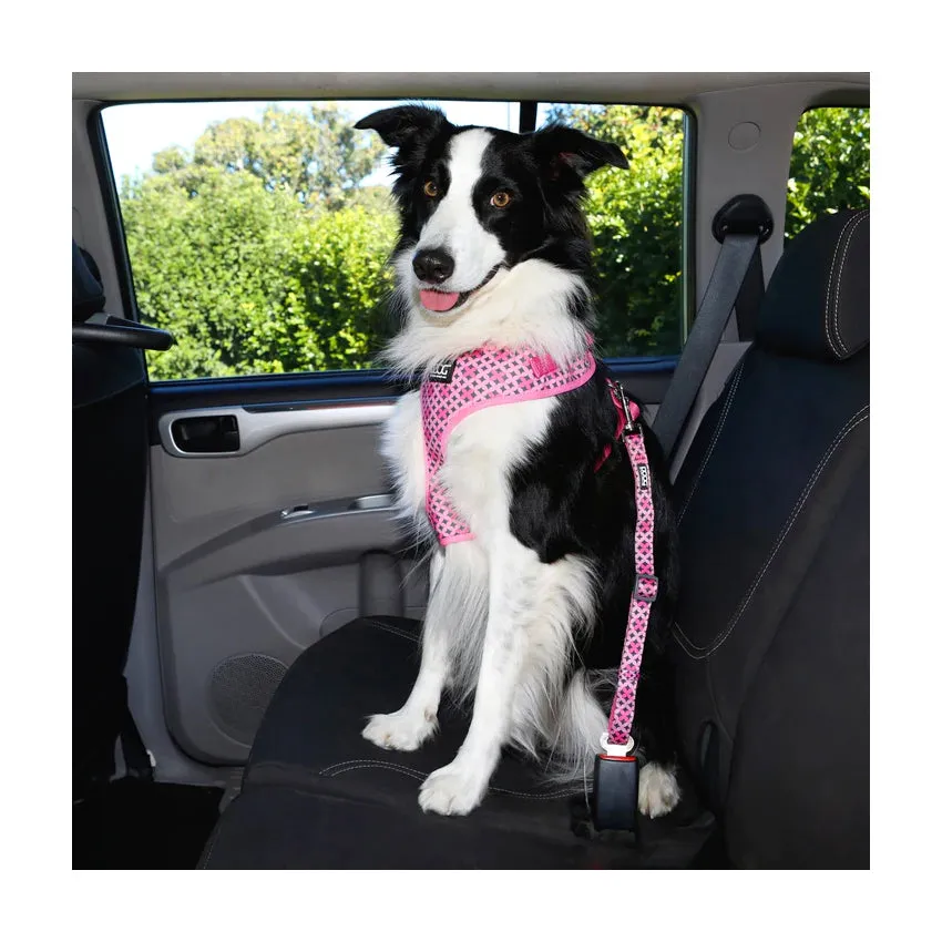 DOOG Car Restraint
