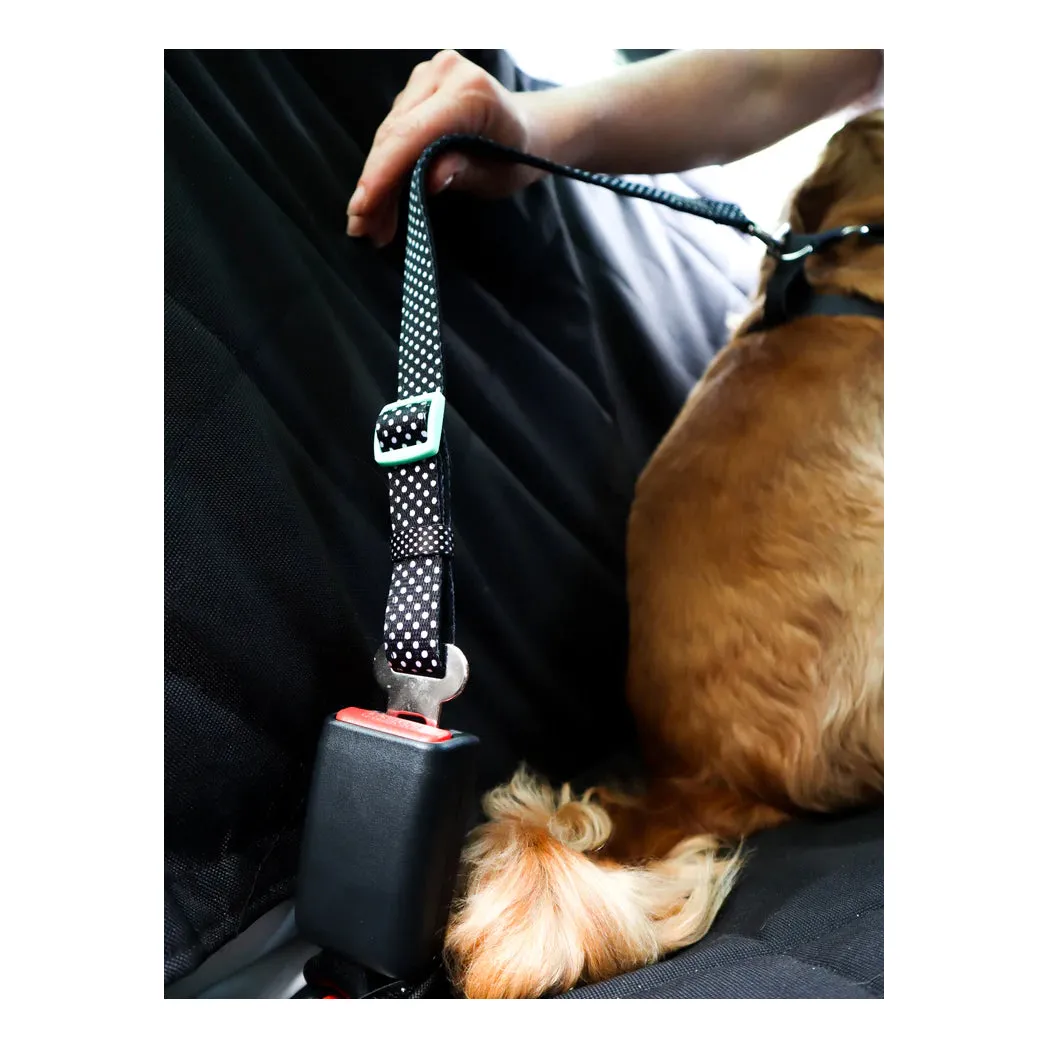 DOOG Car Restraint