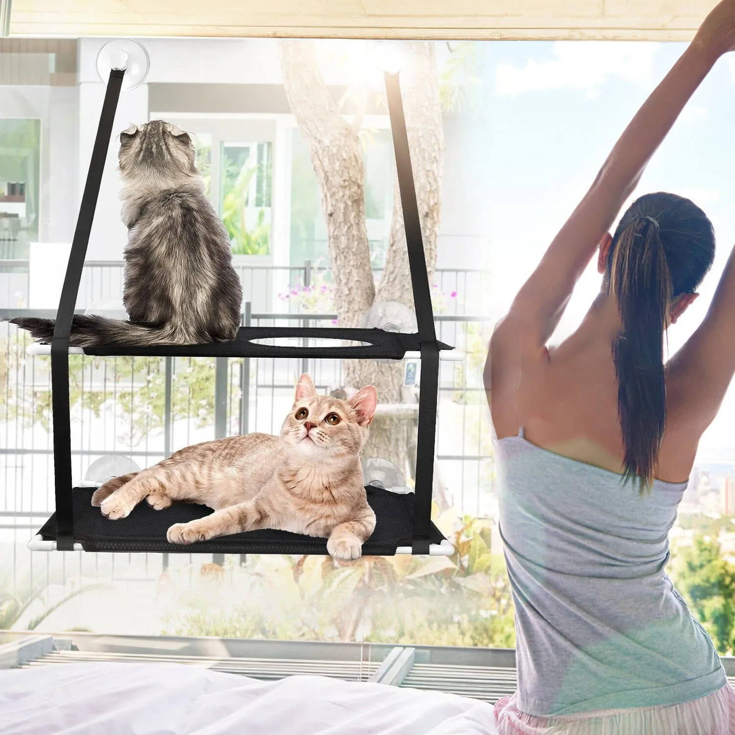 Double Layer Perch Bed Powerful Suction Indoor Window Hammock for Cat