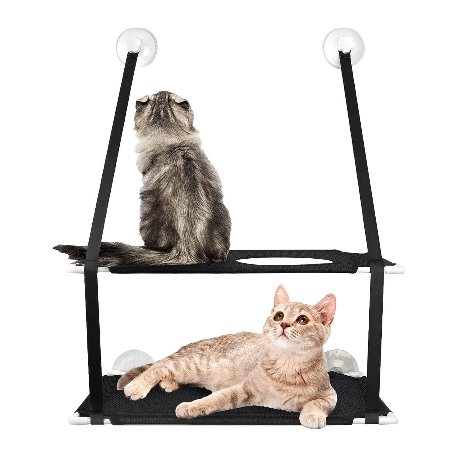 Double Layer Perch Bed Powerful Suction Indoor Window Hammock for Cat