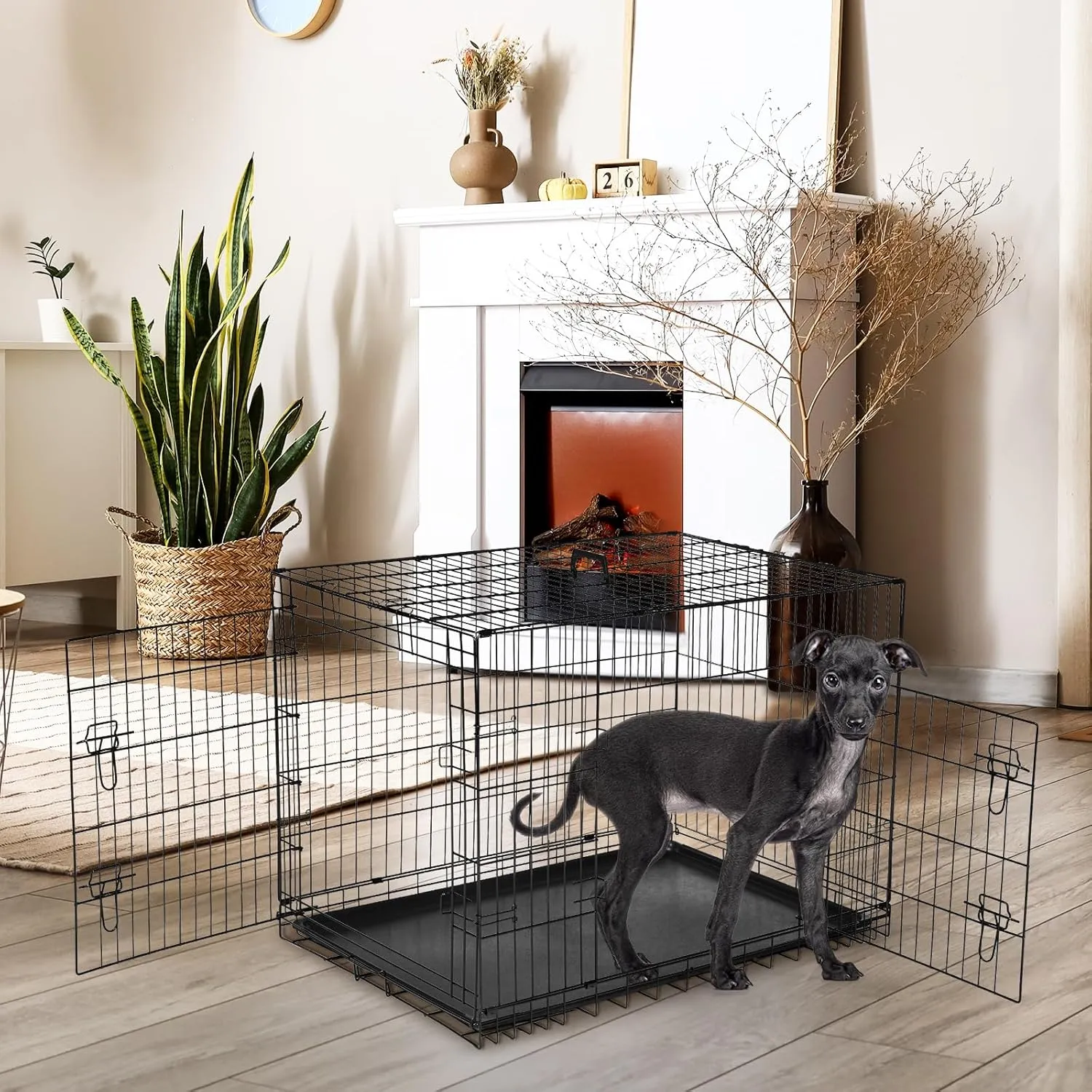 DUMOS Dog Crate, 30 Inch Medium Double Door Dog Cage with Divider Panel and Plastic Leak-Proof Pan Tray, Folding Metal Wire Pet Kennel for Indoor, Outdoor, Travel