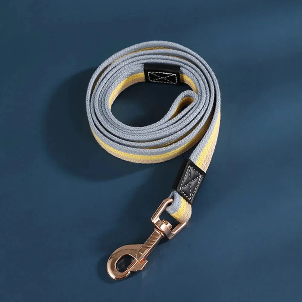 Durable Nylon Dog Leash for Training and Walking