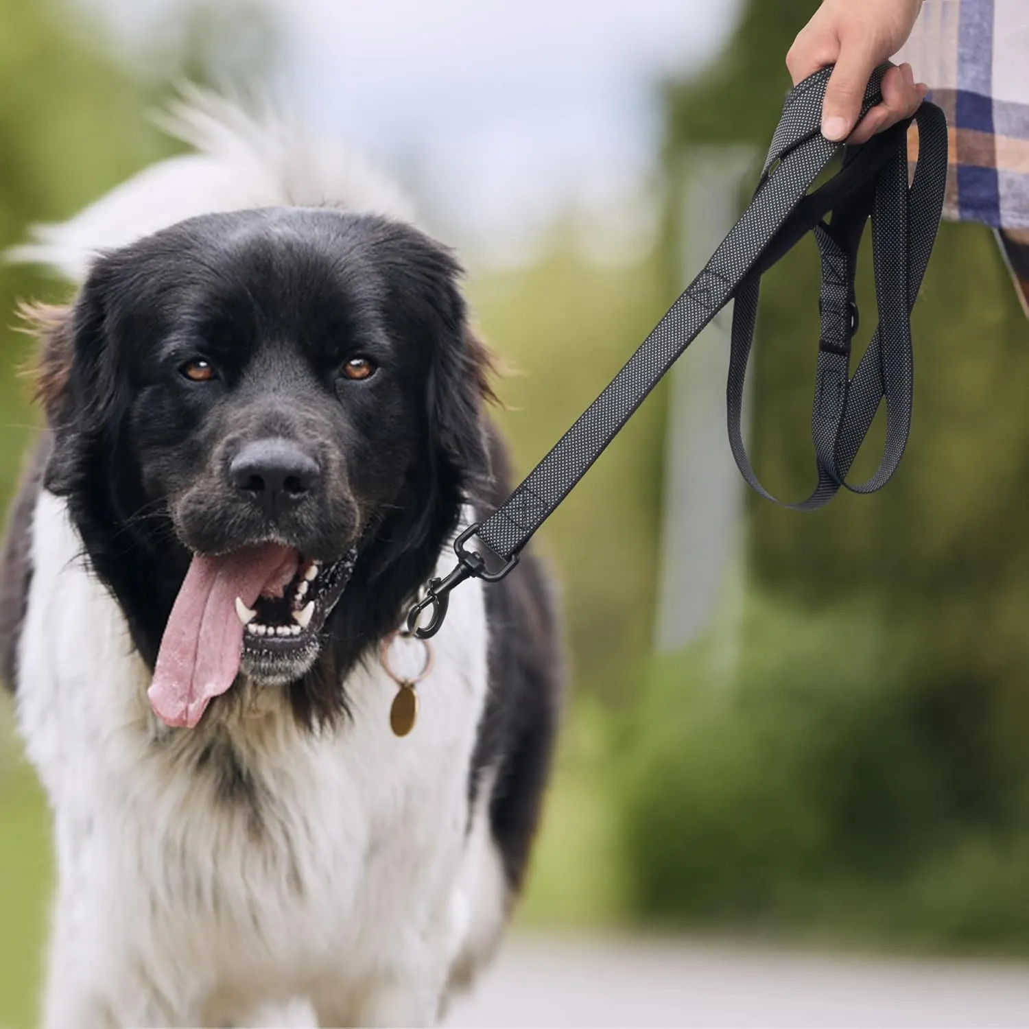 EasyEase Dog Leash with 2 Comfortable Soft Padded Handles 4FT Black Reflective Heavy Duty Pet Dog Walking Leashes Durable Dog Training Lead & Traffic Handle for Large Medium and Small Dogs