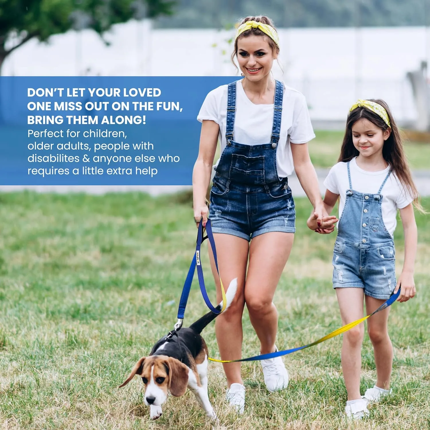 Guardian Double Leash for Small to Large Dogs 6ft - 2 Padded Handles for 2 People & 1 Dog, Reflective Safety Stitching, Carry Bag. Ideal for Training, Walking, Running
