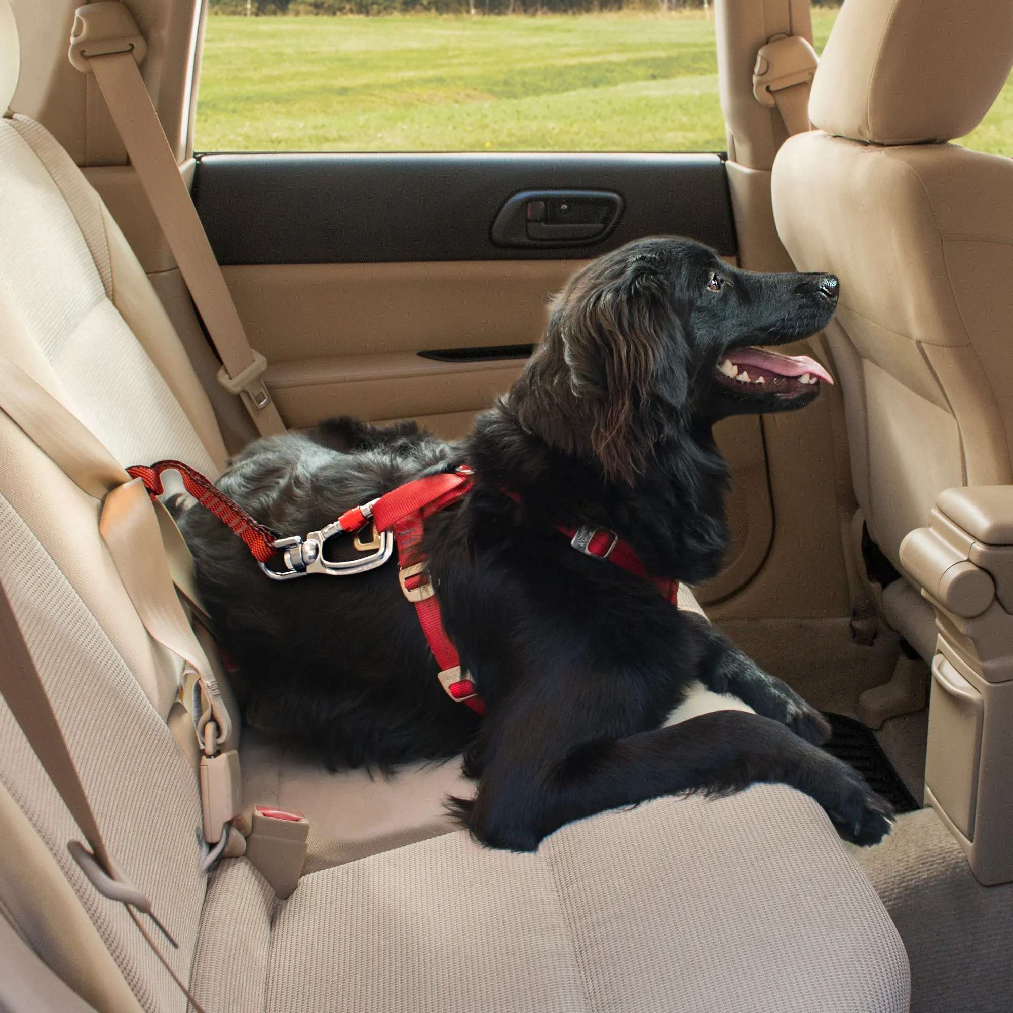 Kurgo Swivel Seatbelt Tether for Dogs, Car Seat Belt for Pets, Adjustable Dog Safety Belt Leash, Quick & Easy Installation, Works with Any Pet Harness