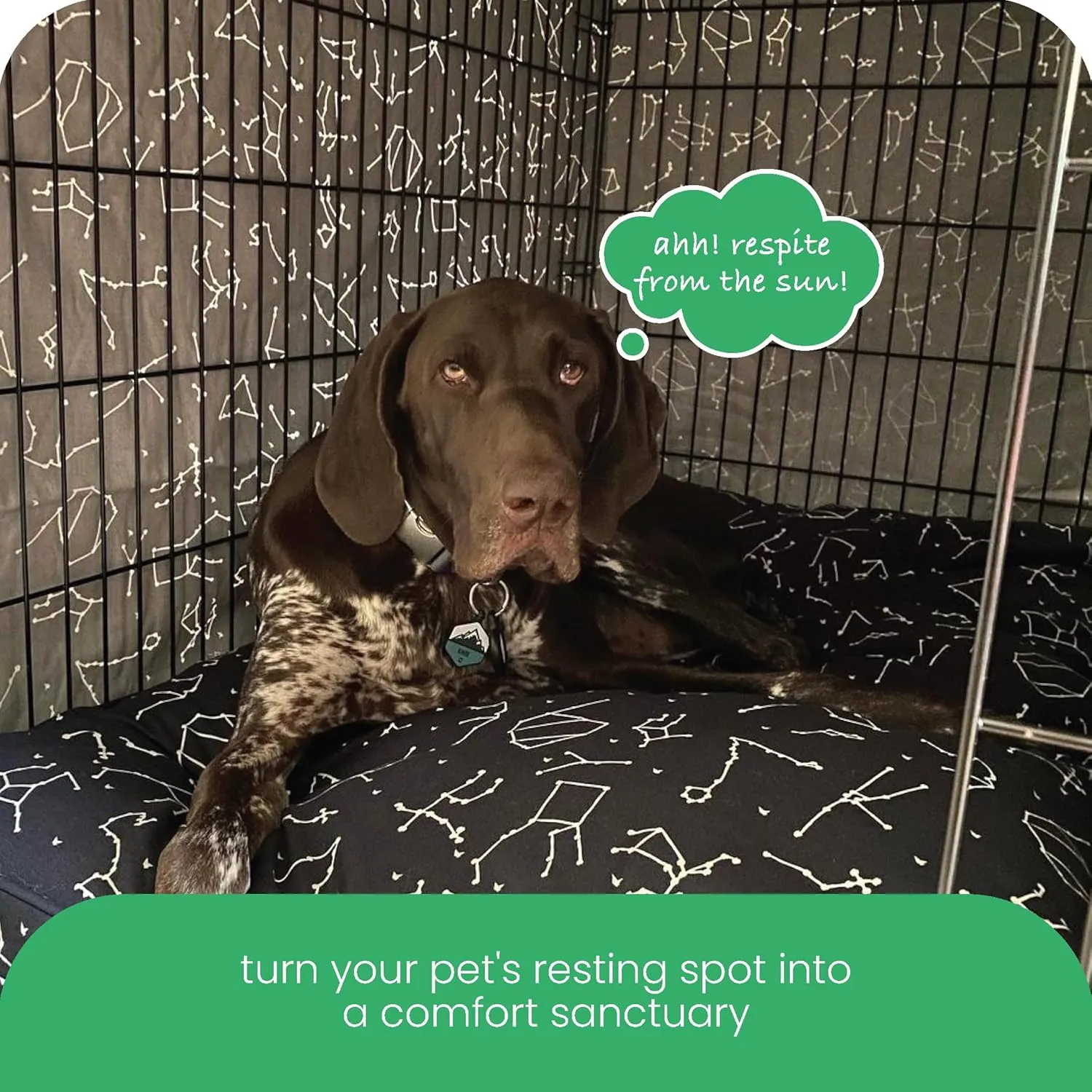 Molly Mutt Rocketman Dog Crate Cover, 100% Cotton Canvas Cover with 2 Roll-Up Panels, Ideal for Dog or Cat Crate, Durable, Washable, and Free of Harmful Chemicals, 42" x 28" x 31"
