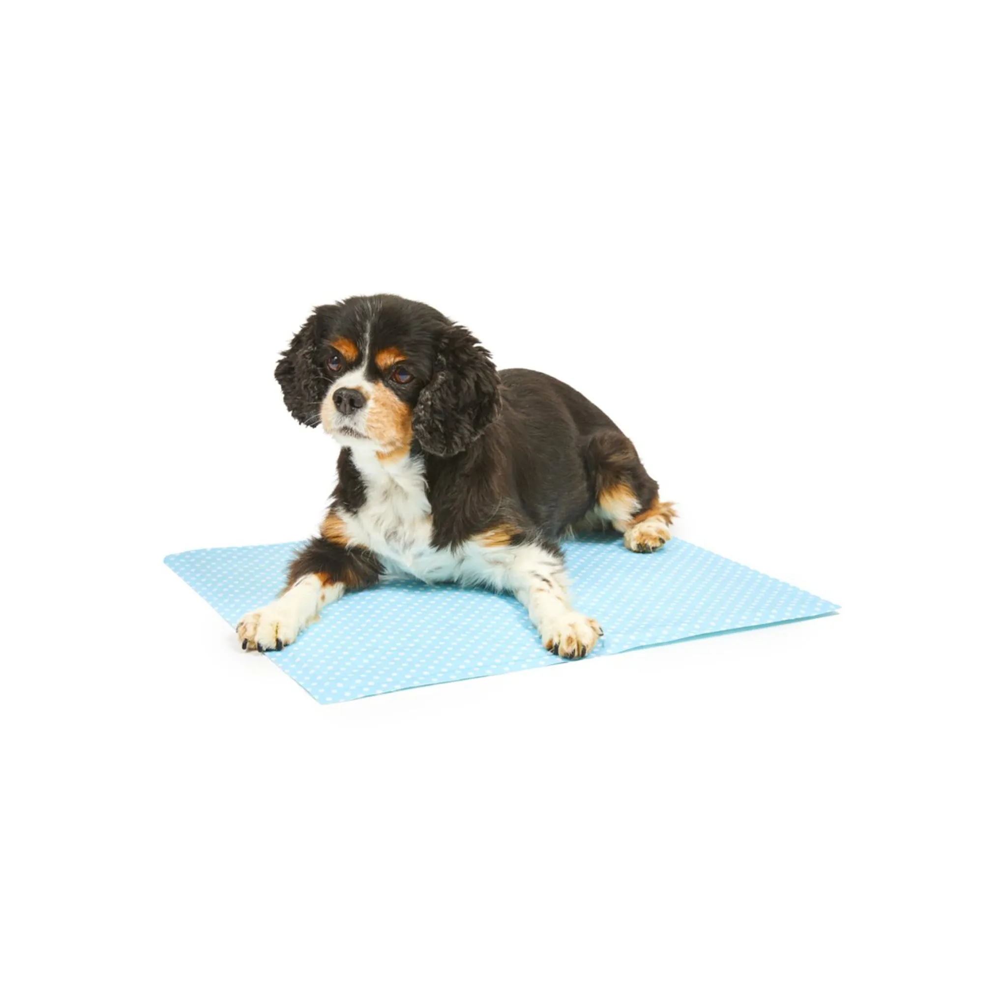 Pet Cooling Mat