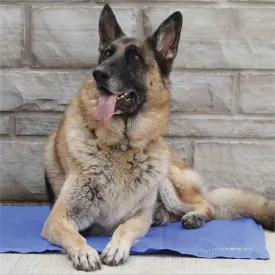 Shedrow K9 Dog Cooling Mat