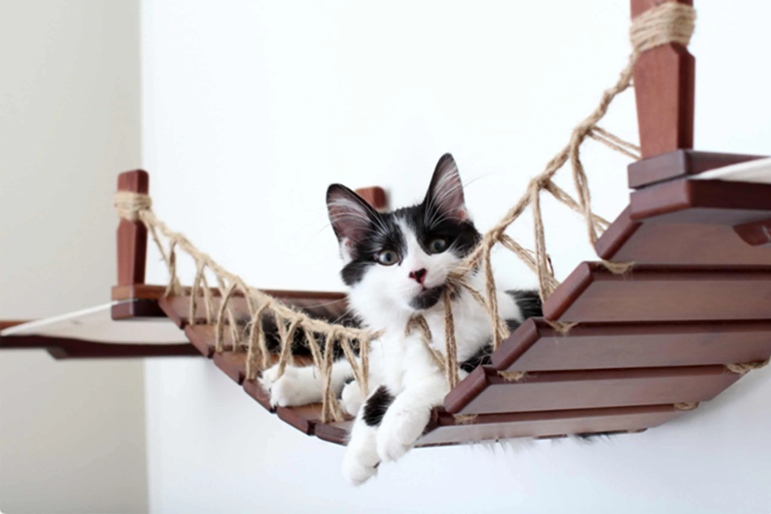 The Cat Bridge Lounge (For Wall) - by Catastrophic Creations