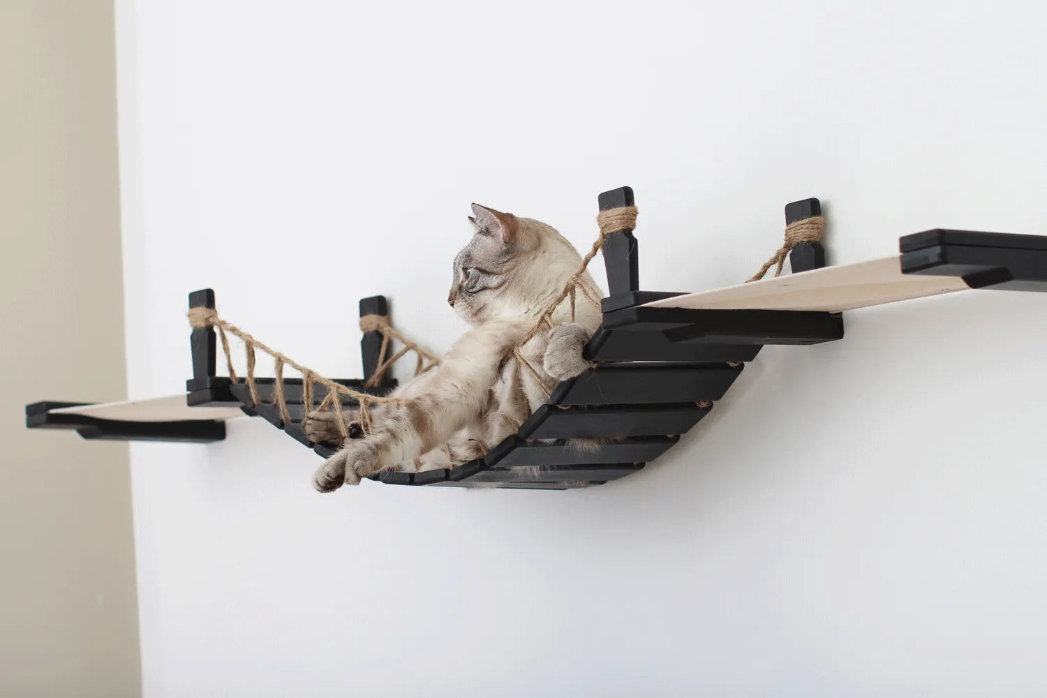 The Cat Bridge Lounge (For Wall) - by Catastrophic Creations